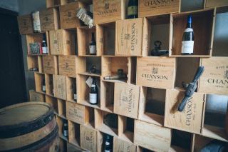 Vin et gastronomie : sublimer chaque plat avec la bonne bouteille