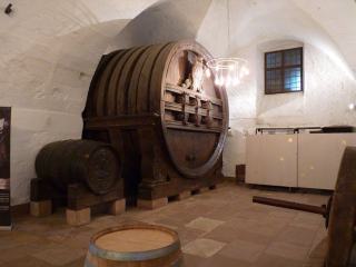 Vins de Bourgogne : Pinot Noir, Chardonnay et terroirs d’exception