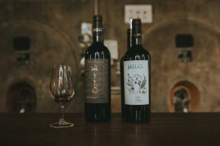 Vins de Loire : Sancerre, Muscadet, Chinon et vins nature