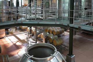 Vins nature et biodynamie : sans soufre ajouté, vivants et vrais